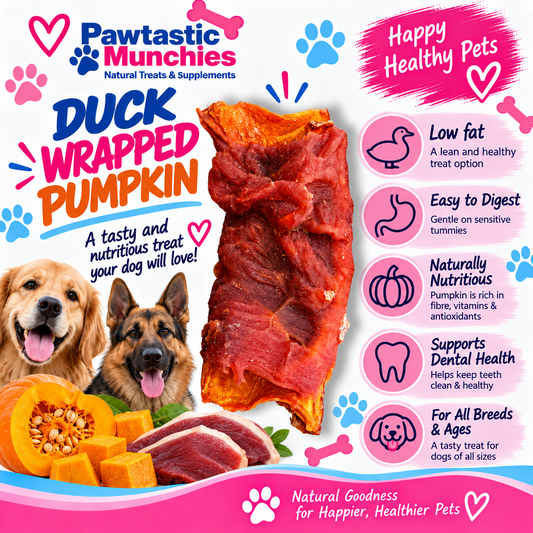Duck Wrapped Pumpkin 100g natural dog treat Pawtastic Munchies