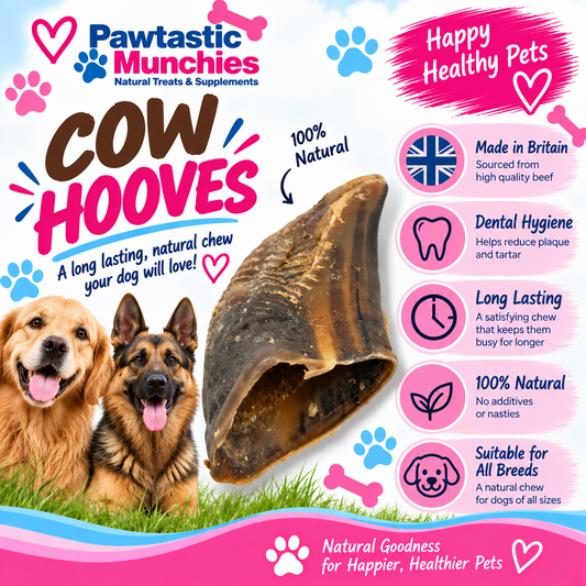 Cow Hooves "Hoofs" long lasting treat for dogs Pawtastic Munchies