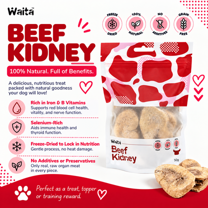 Waita Freeze Dried Beef Kidney 50g | Freeze Dried Natural Treats For Dogs and Cats Pawtastic Munchies