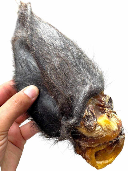 Hairy Buffalo Ears with Meat - Natural Dog Treat Pawtastic Munchies