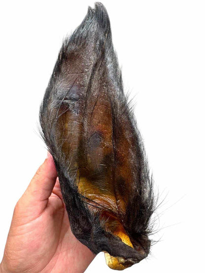 Hairy Buffalo Ears with Meat - Natural Dog Treat Pawtastic Munchies