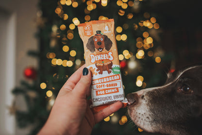 Denzel’s Christmas Gingerbread Chew